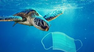 Meeresverschmutzung durch Masken