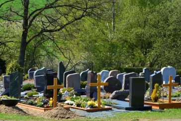 Der Klimawandel ist schuld an der Übersterblichkeit in 2022 ?